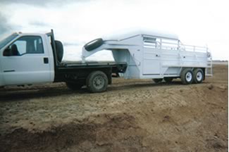 Custom Flatbed and Trailer